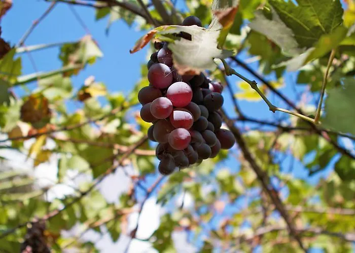 Paris Konukevi Port de Pollença